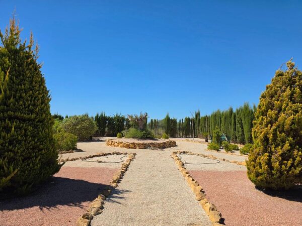 Будинки в Піносо, Іспанія, 405м² - зображення 20