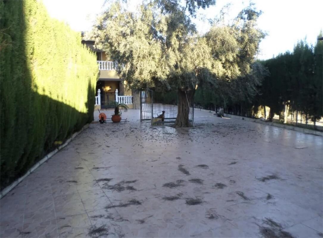 Willa z 4 sypialniami, 350m² w Orihuela, Hiszpania [ID: 0152-619030]