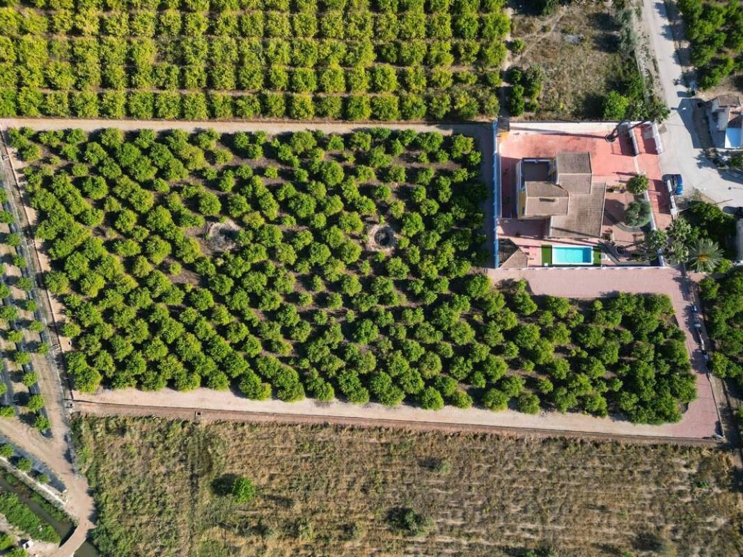 Willa z 5 sypialniami, 500m² w Orihuela, Hiszpania [ID: 0152-619024]
