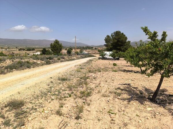 Land in Pinoso, Spain - image 3