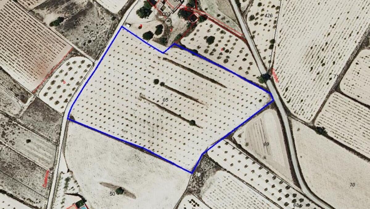 Земля в Пиносо, Испания [ID: 0152-616086]
