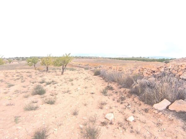 Land in Pinoso, Spain - image 3