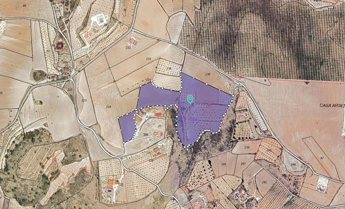 Land in Pinoso, Spain [ID: 0152-616077]