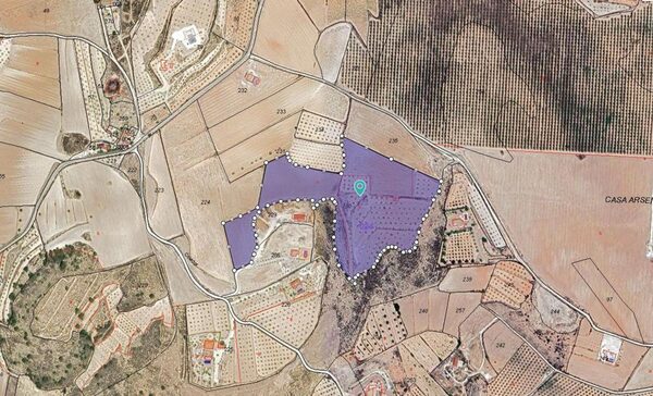 Land in Pinoso, Spain