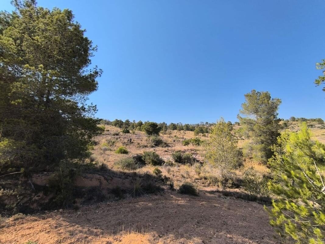 Land in La Romana, Spain [ID: 0152-616032]