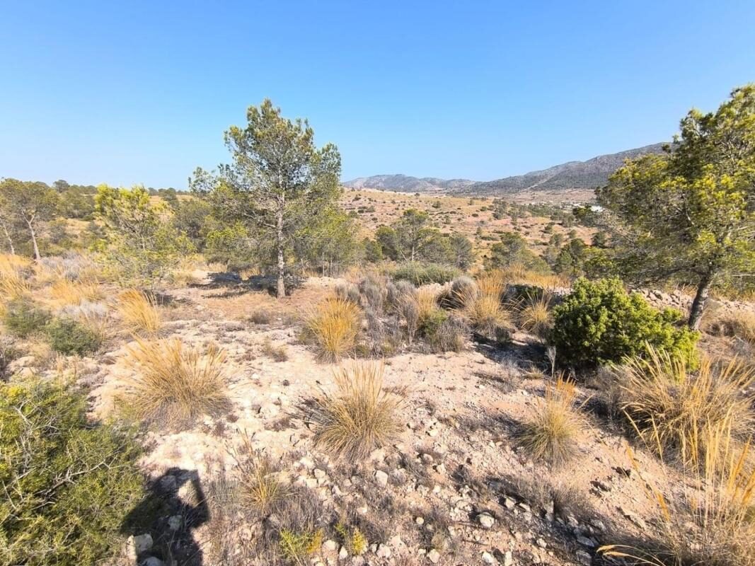 Land in La Romana, Spain [ID: 0152-616032]