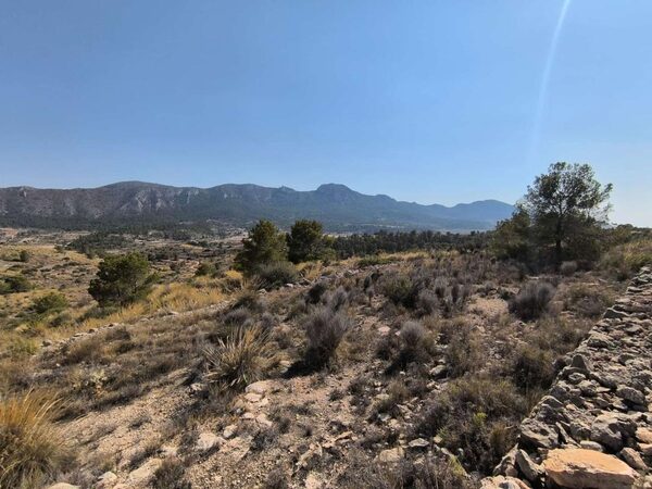 Land in La Romana, Spain