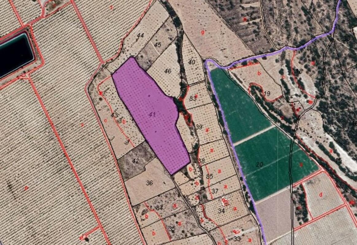 Land in Pinoso, Spain [ID: 0152-615942]