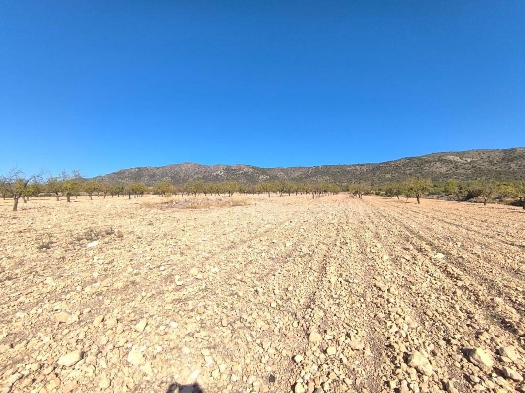 Land in Pinoso, Spain [ID: 0152-615942]