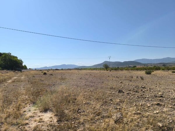 Land in Pinoso, Spain - image 2