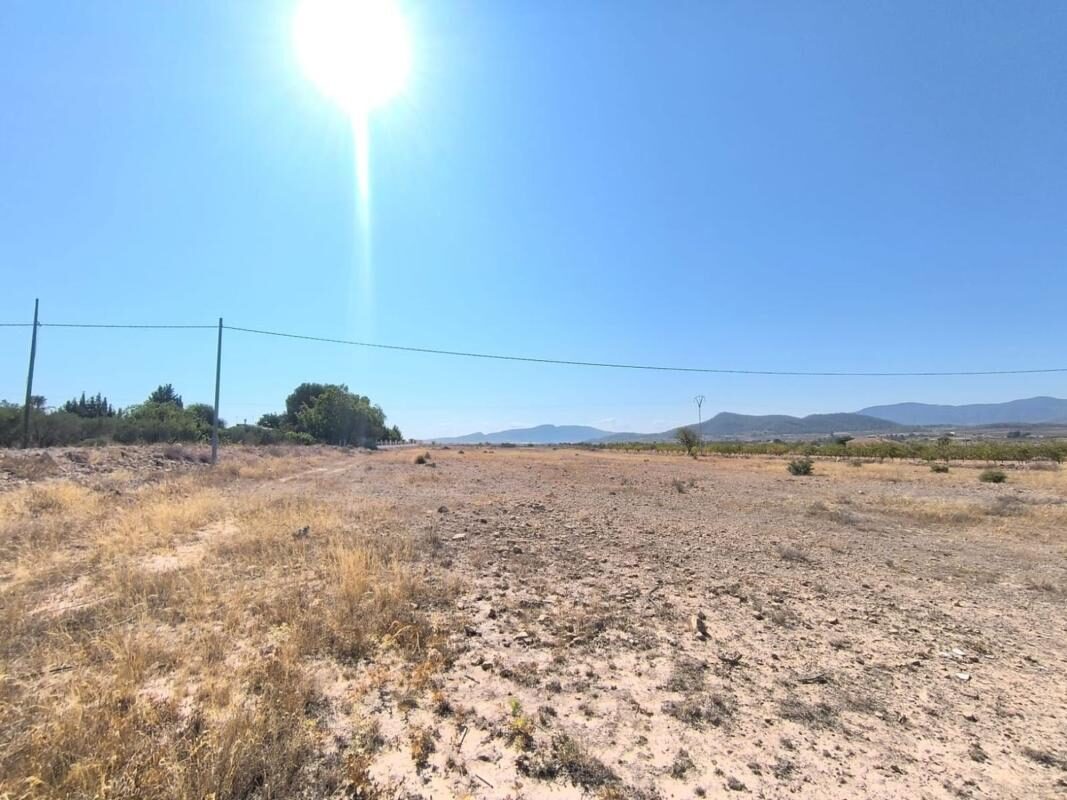 Land in Pinoso, Spain [ID: 0152-615938]