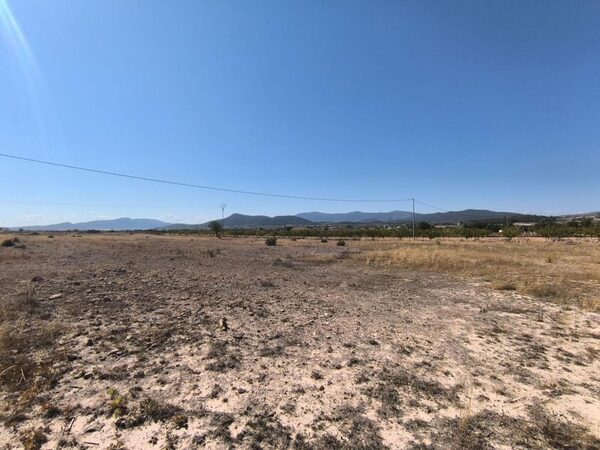 Land in Pinoso, Spain - image 5