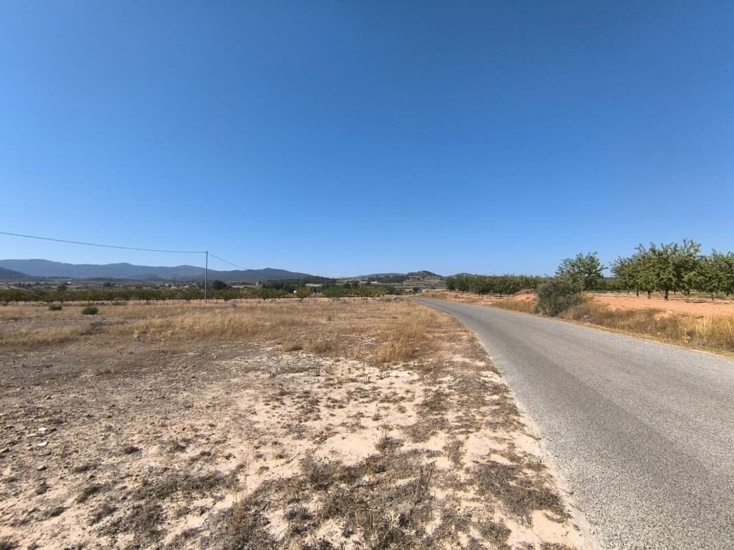 Land in Pinoso, Spain [ID: 0152-615938]