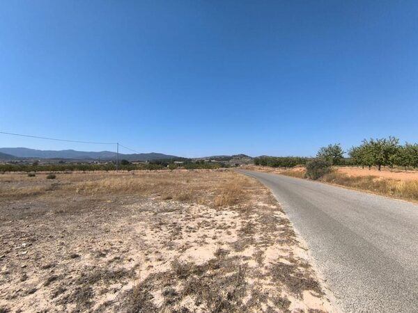 Land in Pinoso, Spain - image 3
