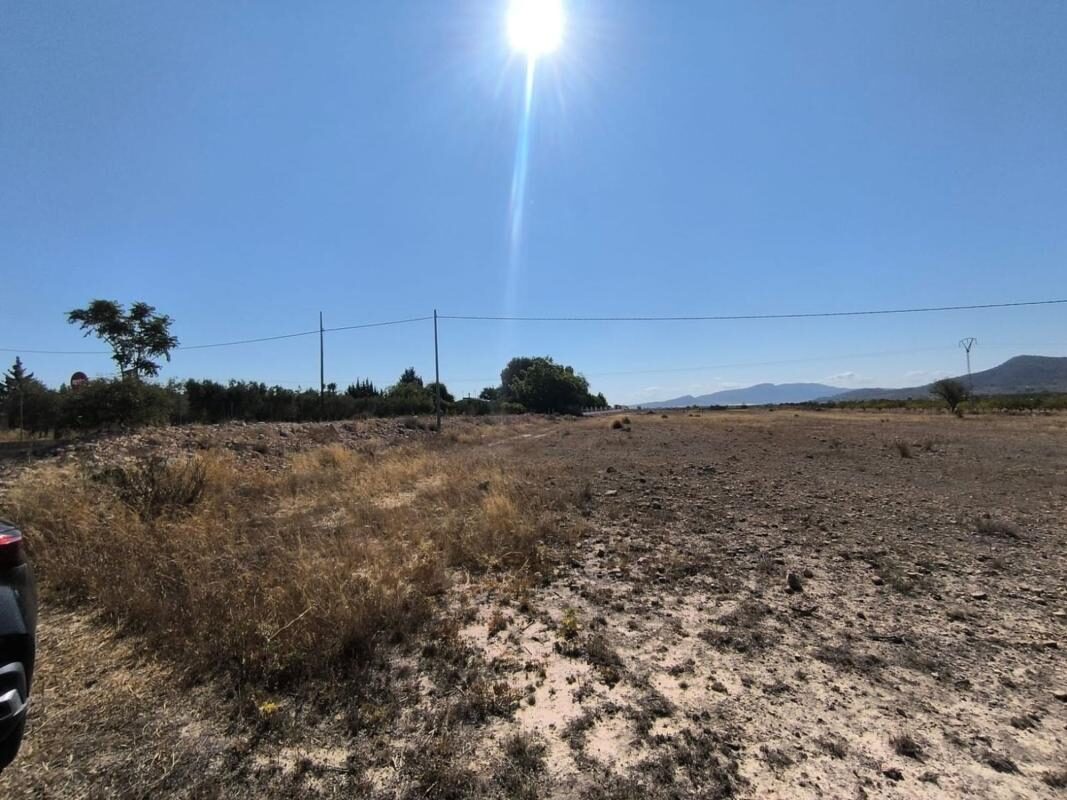Land in Pinoso, Spain [ID: 0152-615938]