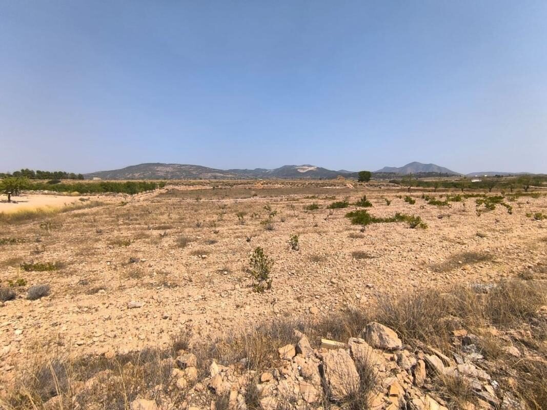 Land in Pinoso, Spain [ID: 0152-615870]