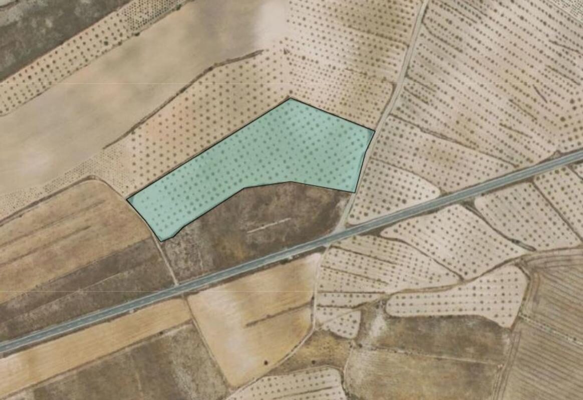 Land in Pinoso, Spain [ID: 0152-615772]