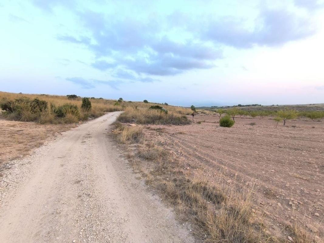 Land in Pinoso, Spain [ID: 0152-615750]