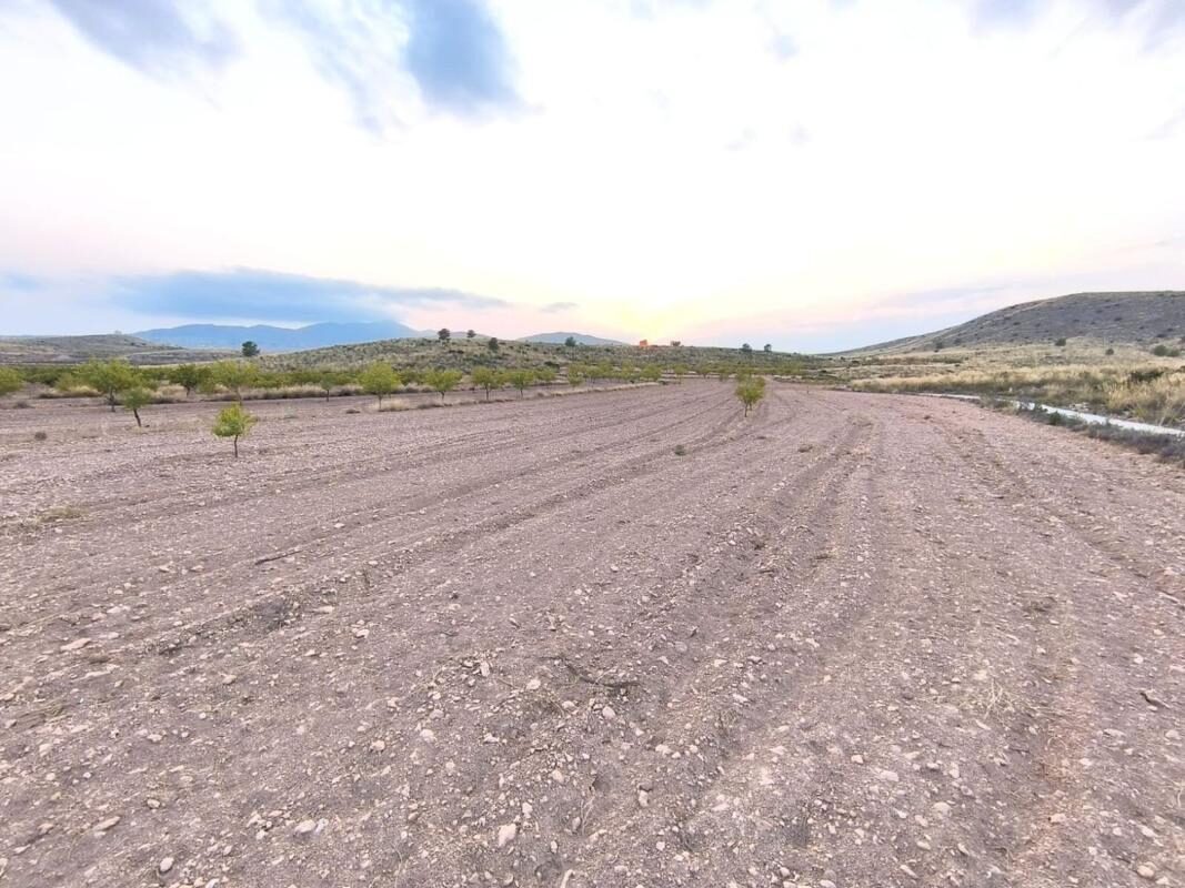 Land in Pinoso, Spain [ID: 0152-615750]