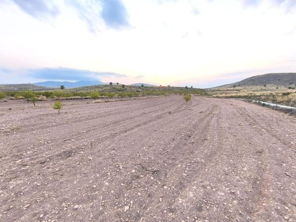 Land in Pinoso, Spain - image 5