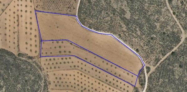 Land in Pinoso, Spain - image 7
