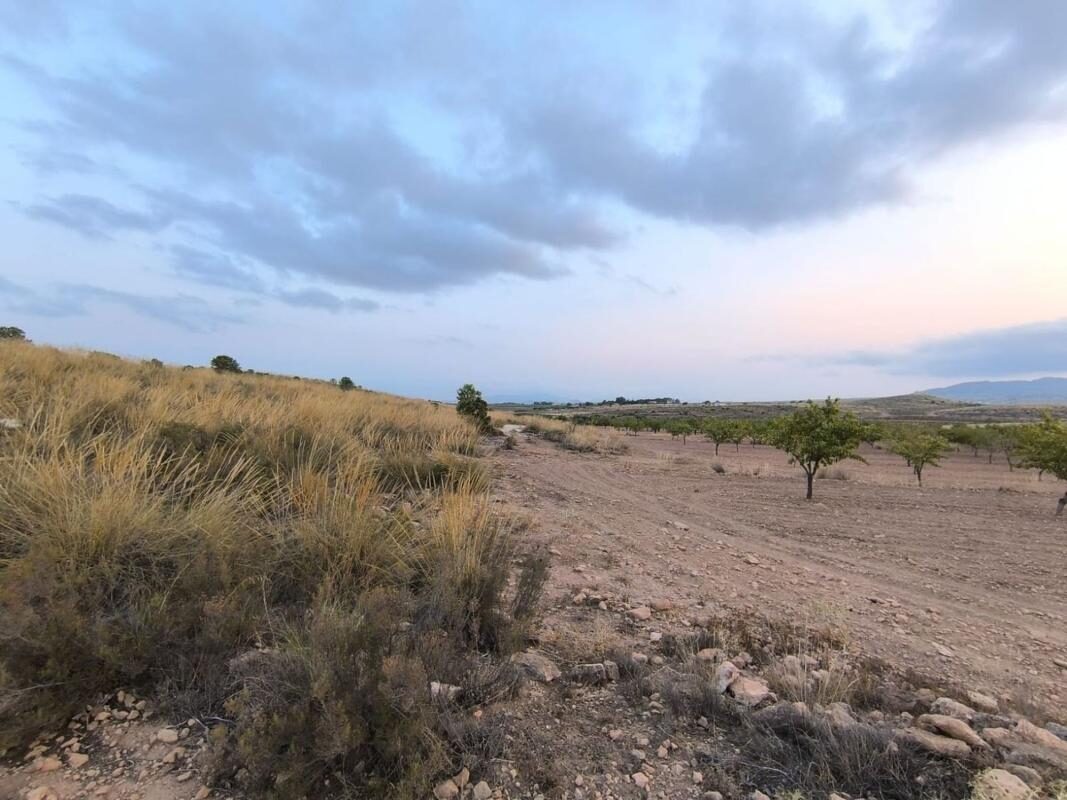 Land in Pinoso, Spain [ID: 0152-615750]