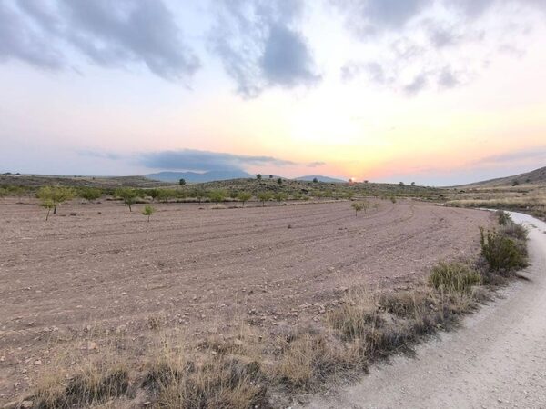 Land in Pinoso, Spain - image 2