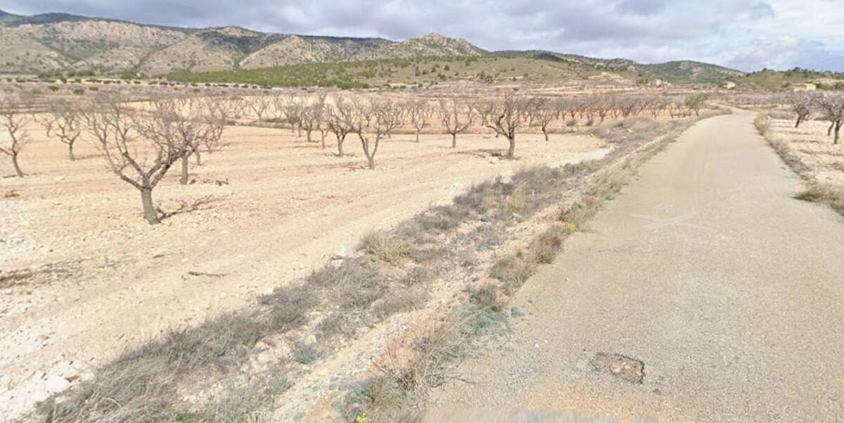 Land in Pinoso, Spain [ID: 0152-615744]