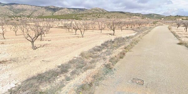 Land in Pinoso, Spain - image 3