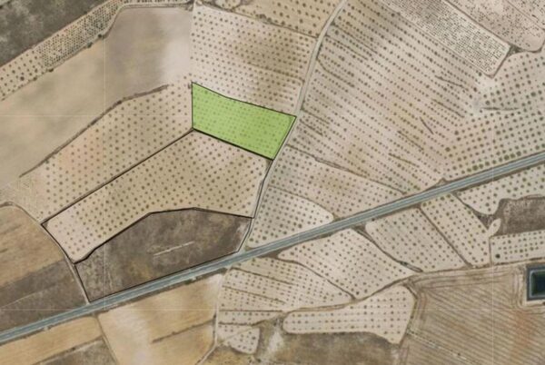 Land in Pinoso, Spain - image 2