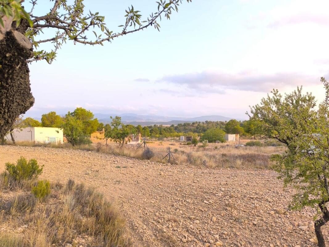 Land in Pinoso, Spain [ID: 0152-615694]