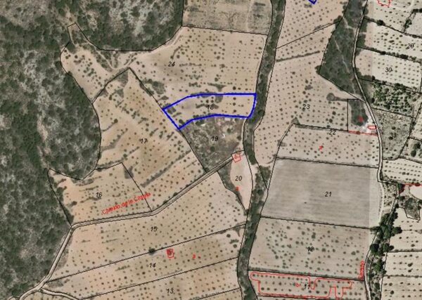 Land in Pinoso, Spain - image 6