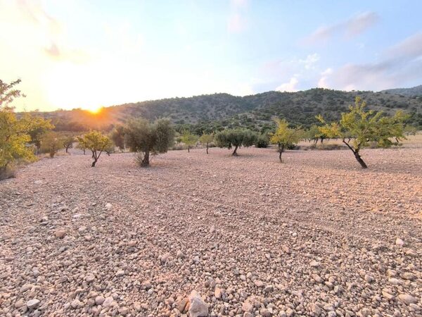 Land in Pinoso, Spain
