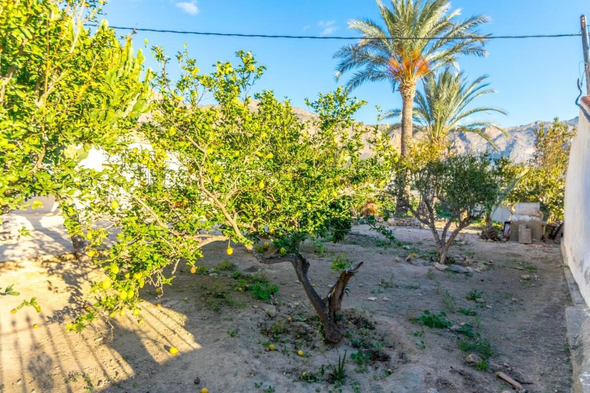 Houses with 4 bedrooms, 267m² in Orihuela, Spain [ID: 0152-605226]