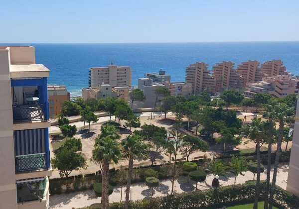 Apartments in Elche / Elx, Spain, 58m² - image 19