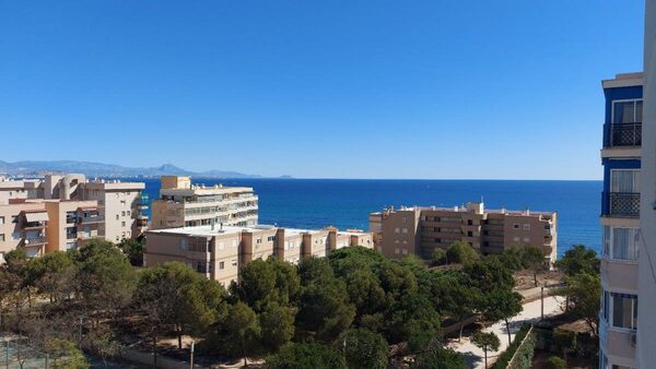 Apartments in Elche / Elx, Spain, 58m² - image 15