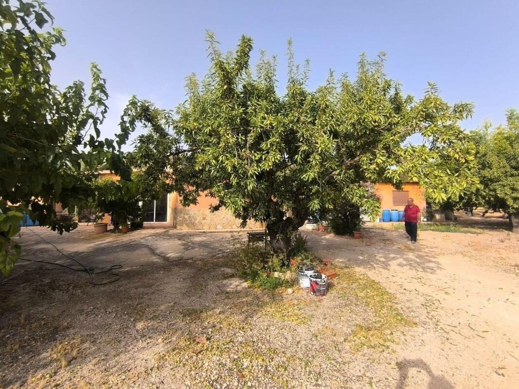 Дома с 3 спальнями, 120м² в Пиносо, Испания [ID: 0152-597574]