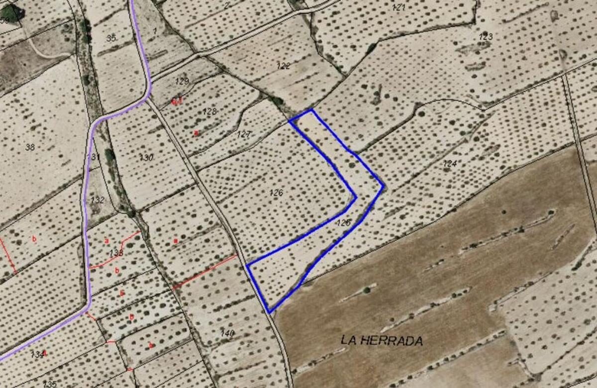 Land in Pinoso, Spain [ID: 0152-595081]