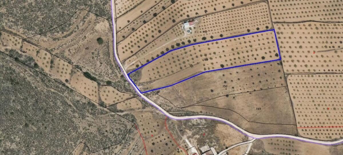 Land in Pinoso, Spain [ID: 0152-595080]