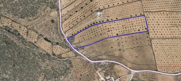 Land in Pinoso, Spain - image 6