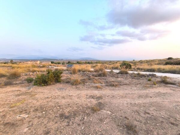 Land in Pinoso, Spain - image 4
