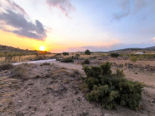 Land in Pinoso, Spain - image 2
