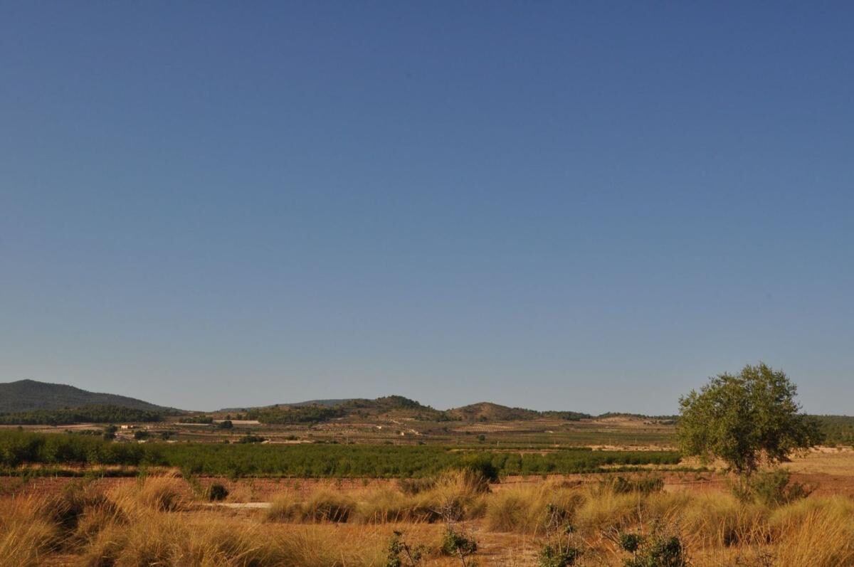 Willa z 8 sypialniami, 450m² w Pinoso, Hiszpania [ID: 0152-578346]