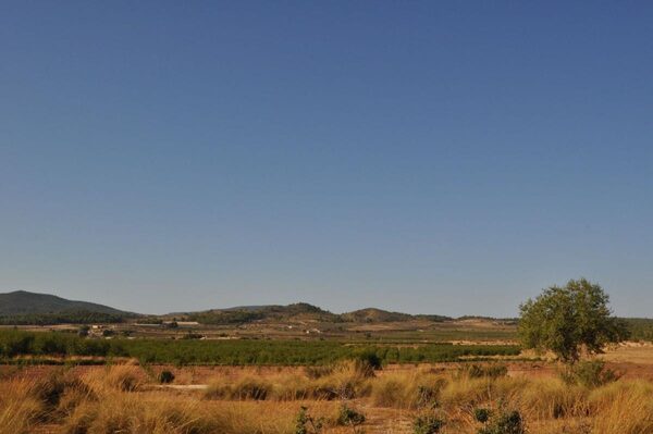 Villa in Pinoso, Spain, 450m² - image 18