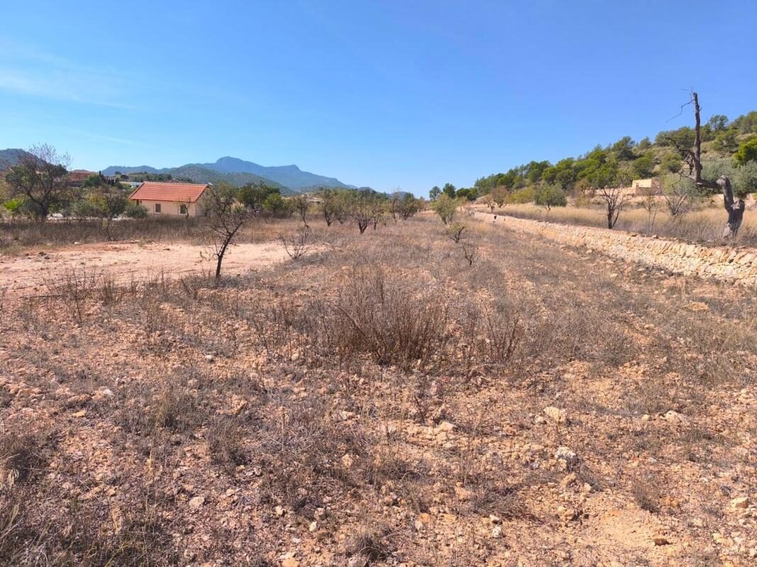Domy z 2 sypialniami, 40m² w Pinoso, Hiszpania [ID: 0152-569703]