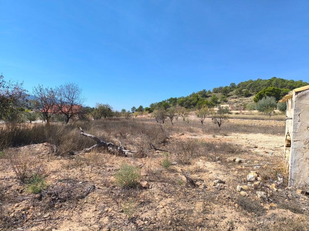 Domy z 2 sypialniami, 40m² w Pinoso, Hiszpania [ID: 0152-569703]