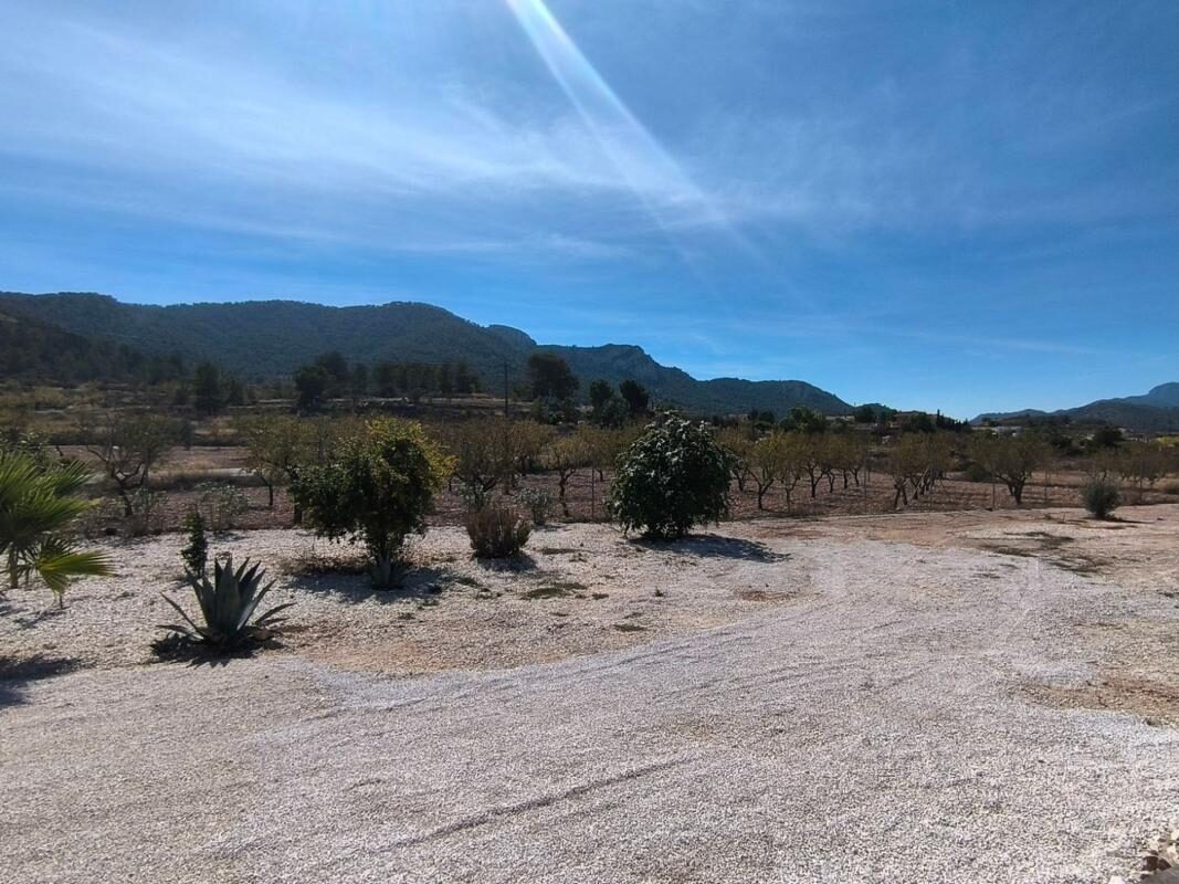 Domy z 2 sypialniami, 40m² w Pinoso, Hiszpania [ID: 0152-569703]