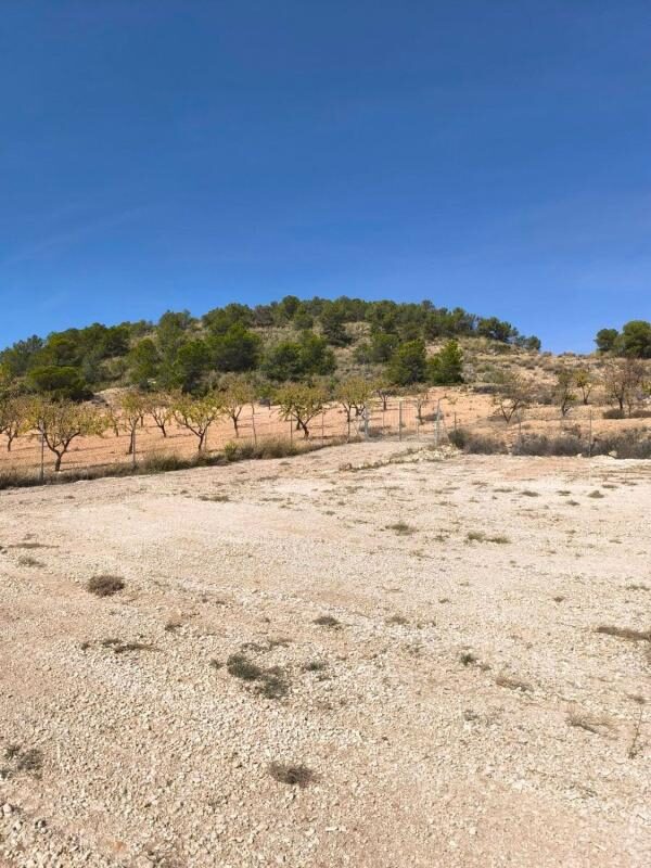 Houses in Pinoso, Spain, 40m² - image 26