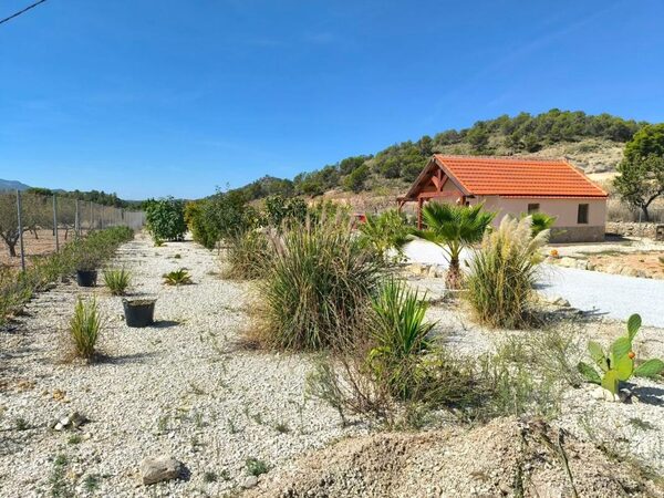 Houses in Pinoso, Spain, 40m² - image 24