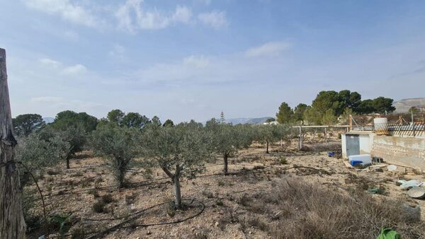 Houses in La Romana, Spain, 72m² - image 15
